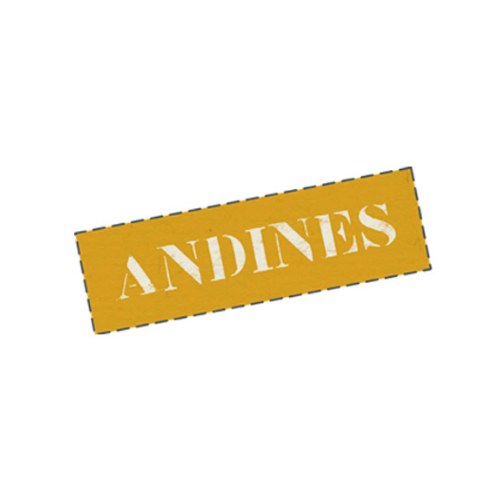 Logo Andines
